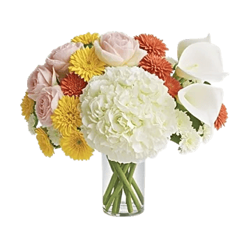 Ivory Blossom Radiance