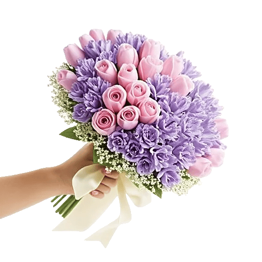 Blushing Rose Symphony