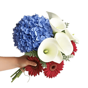 Sapphire Bloom Whisper