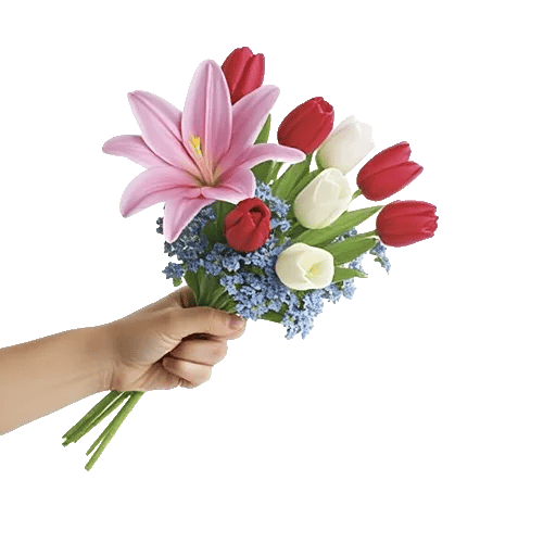 Blossom Harmony Display