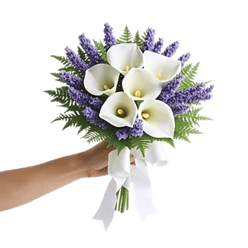 Elegant Calla Lilies