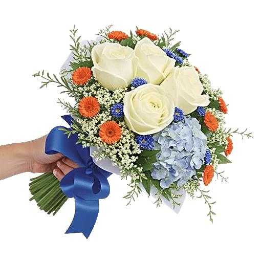 Serene Petal Harmony