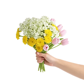 Blossom Harmony Display