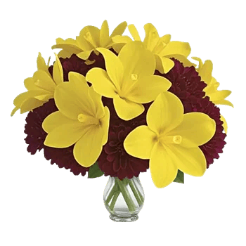 Orchid Bloom Cascade