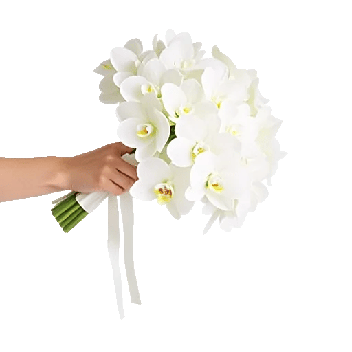 Minimalist White Orchids