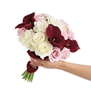 Elegant Calla Lilies