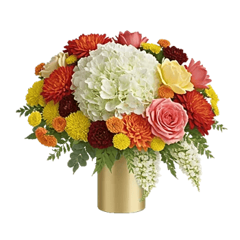 Petal Radiance Bliss