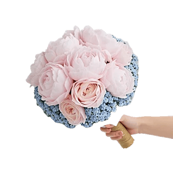 Peony Petal Harmony