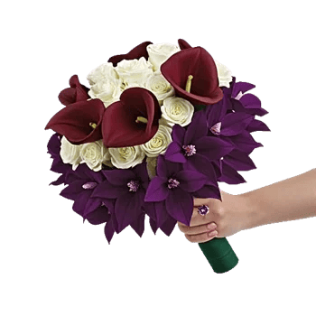 Elegant Calla Lilies