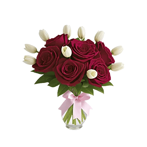 Radiant Rose Symphony