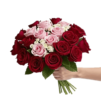 Pastel Pink Roses