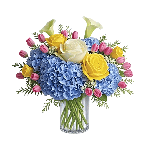 Radiant Rose Symphony