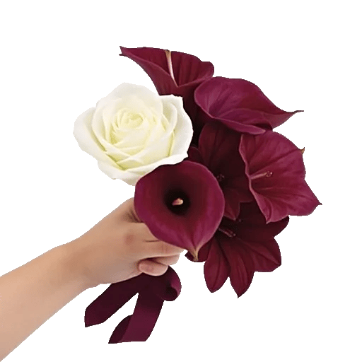 Elegant Calla Lilies