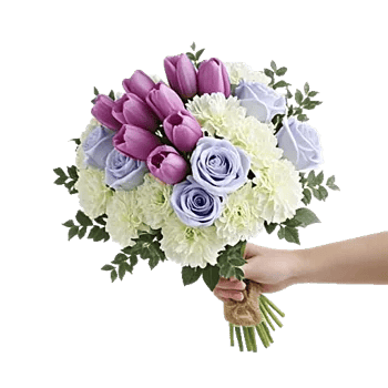 Velvet Tulip Display