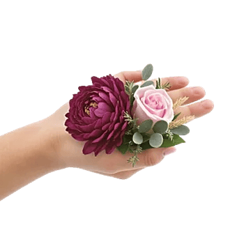 Plum Blossom Radiance