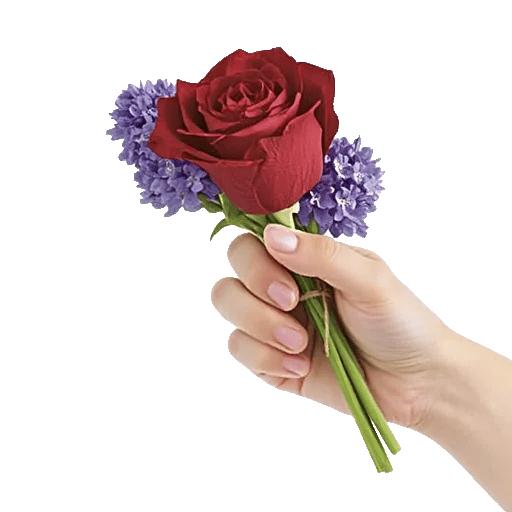 Crimson Rose Elegance
