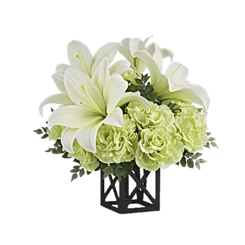 Ivory Blossom Radiance