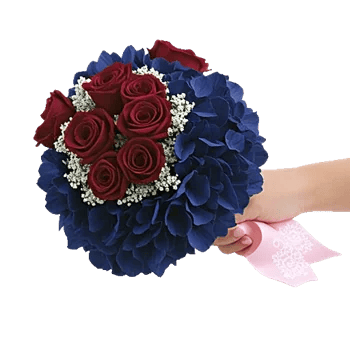 Blushing Rose Symphony