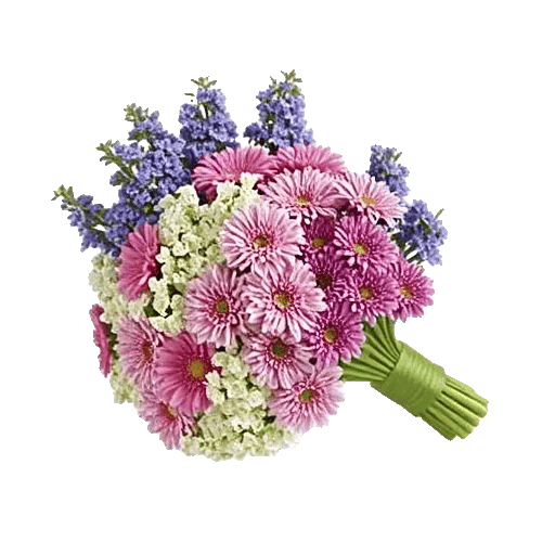 Blossom Harmony Display