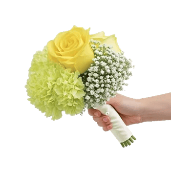 Golden Rose Radiance