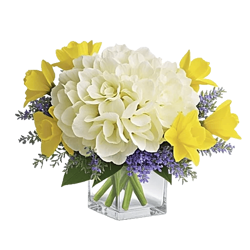 Serene Petal Harmony