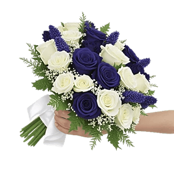 Elegant Blue Roses