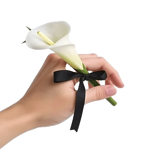 Elegant Calla Lilies