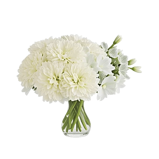 Delicate Petal Cascade