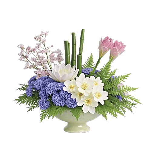 Serenity Orchid Bloom