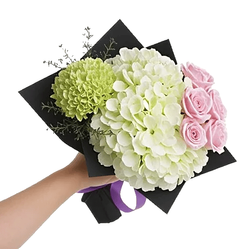 Serene Petal Harmony