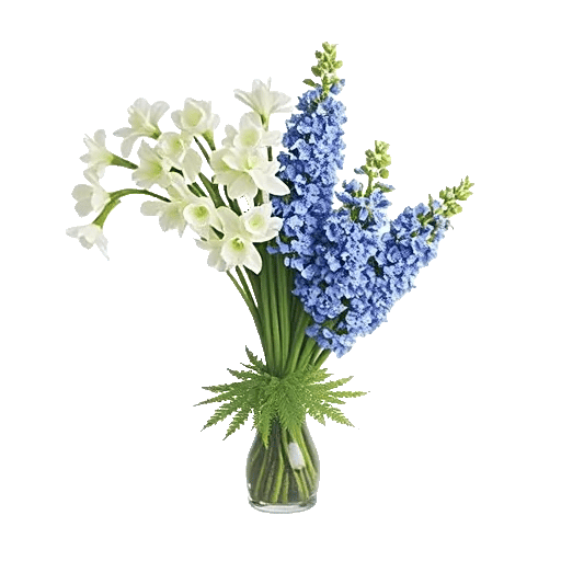 Minimalist White Orchids