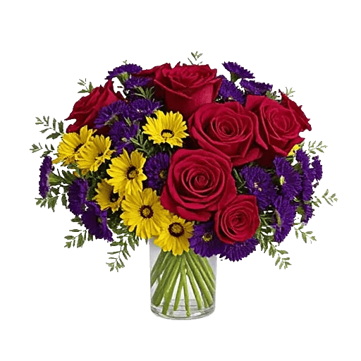 Petal Radiance Bliss