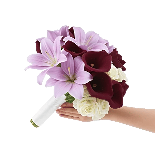 Elegant Calla Lilies