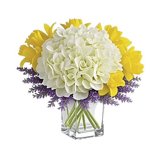 Serene Petal Harmony