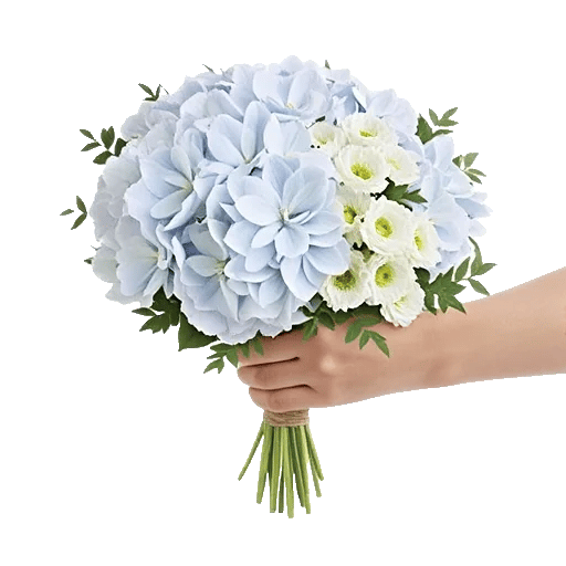 Serene Petal Harmony