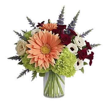 Petal Radiance Bliss