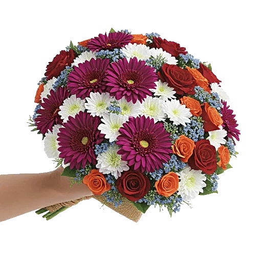 Plum Blossom Radiance