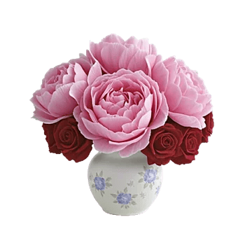 Peony Petal Harmony