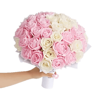 Peony Petal Harmony