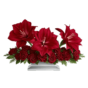 Crimson Blossom Harmony