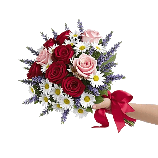 Blushing Rose Symphony