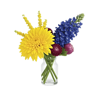 Radiant Bloom Cascade