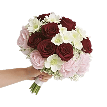 Blushing Rose Symphony