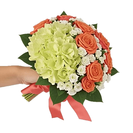 Ivory Garden Grace