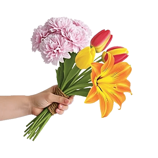 Blossom Harmony Display