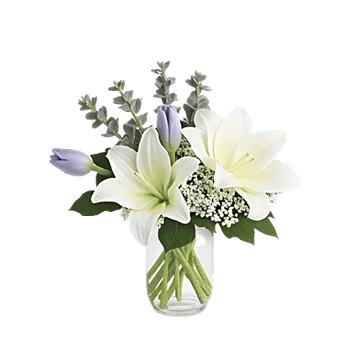 Velvet Tulip Display