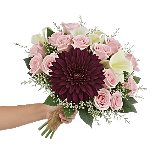 Silken Petal Array
