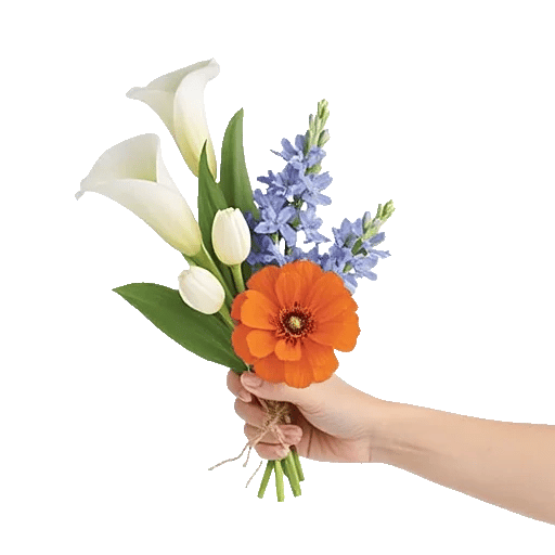 Elegant Calla Lilies