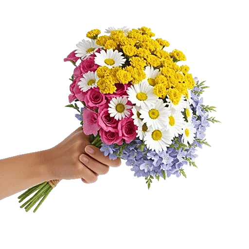 Blossom Harmony Display