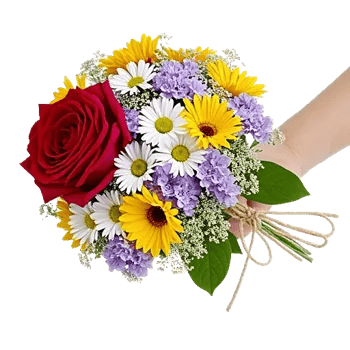 Crimson Rose Elegance